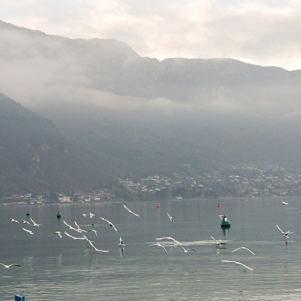 Meet your Posher, Malika